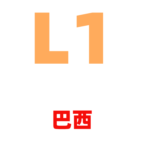 买家账号L1巴西