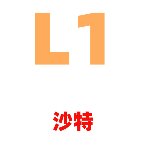 买家账号L1沙特